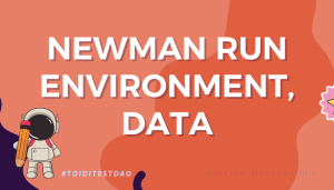 Newman run environment, data - toiditestdao